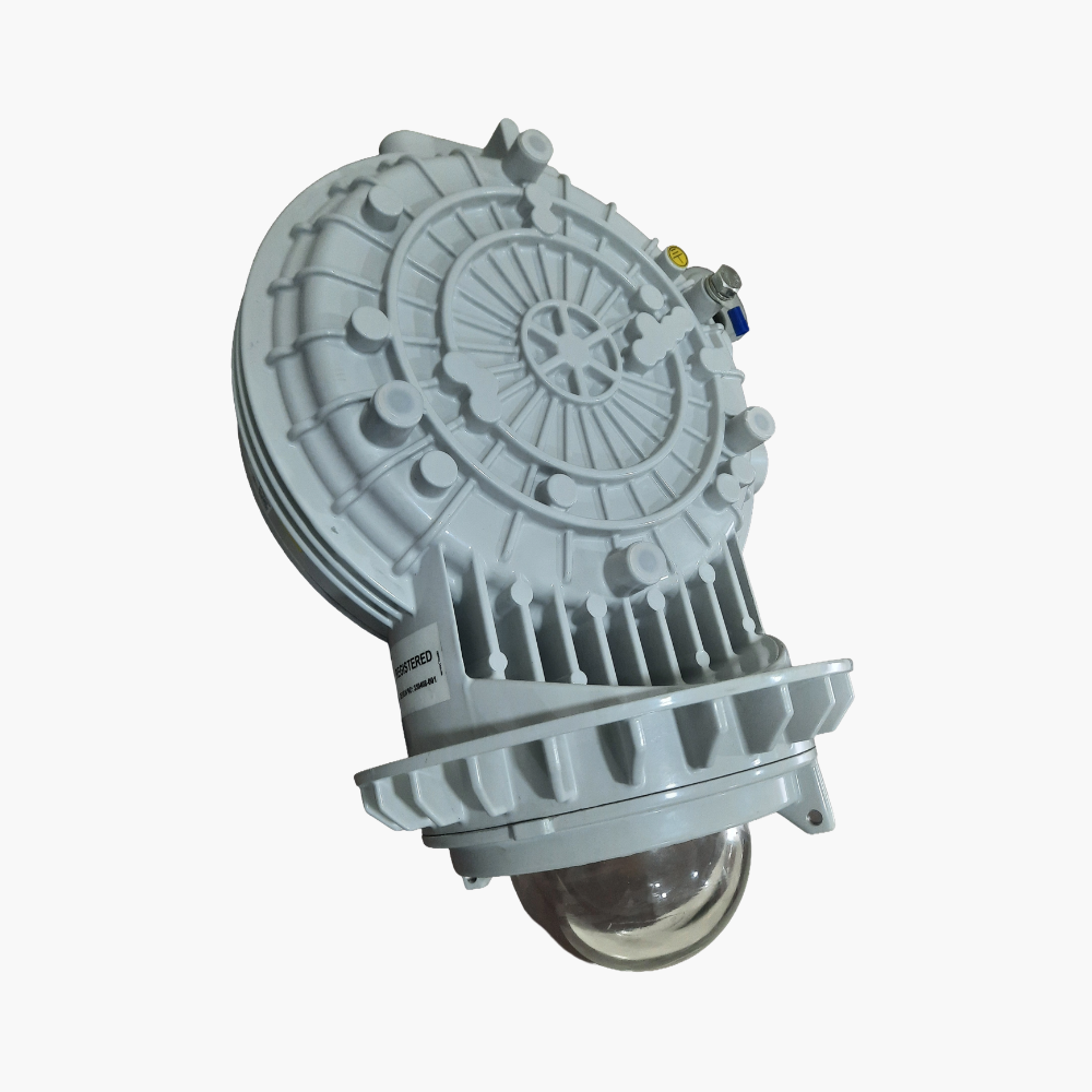 Explosion Proof Pendant Light Fittings 02